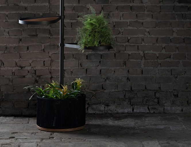 Cinza que te quero verde