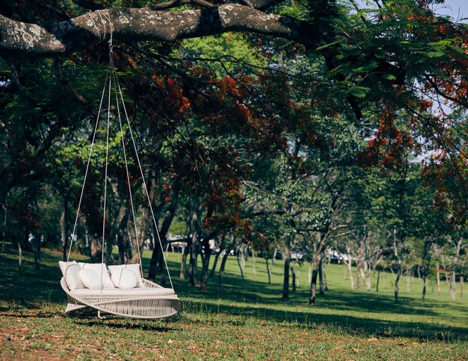 Dia de contemplar e pertencer: 5 de Junho, uma homenagem ao mundo que nos faz viver