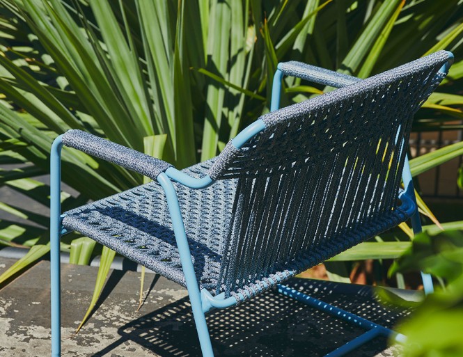 Flores De Longa Vida